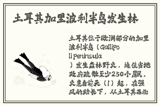 无限资源在线完整高清观看视频